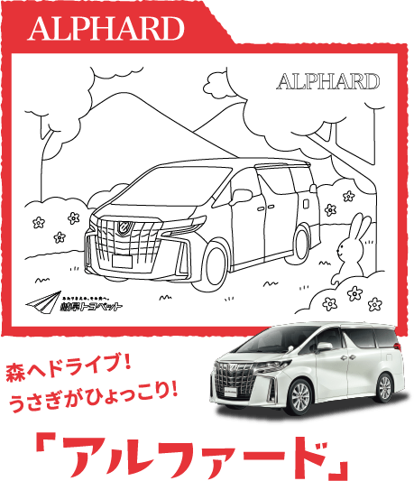 森へドライブ！うさぎがひょっこり！ 「alphard」